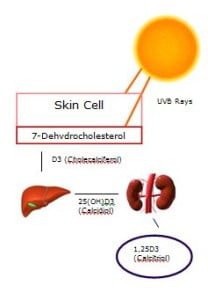 Vitamin D3