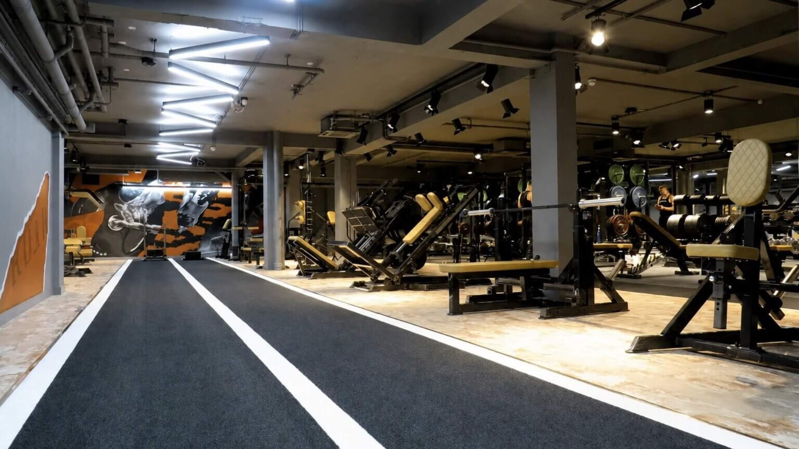 Roar Fitness Kensington gym interior