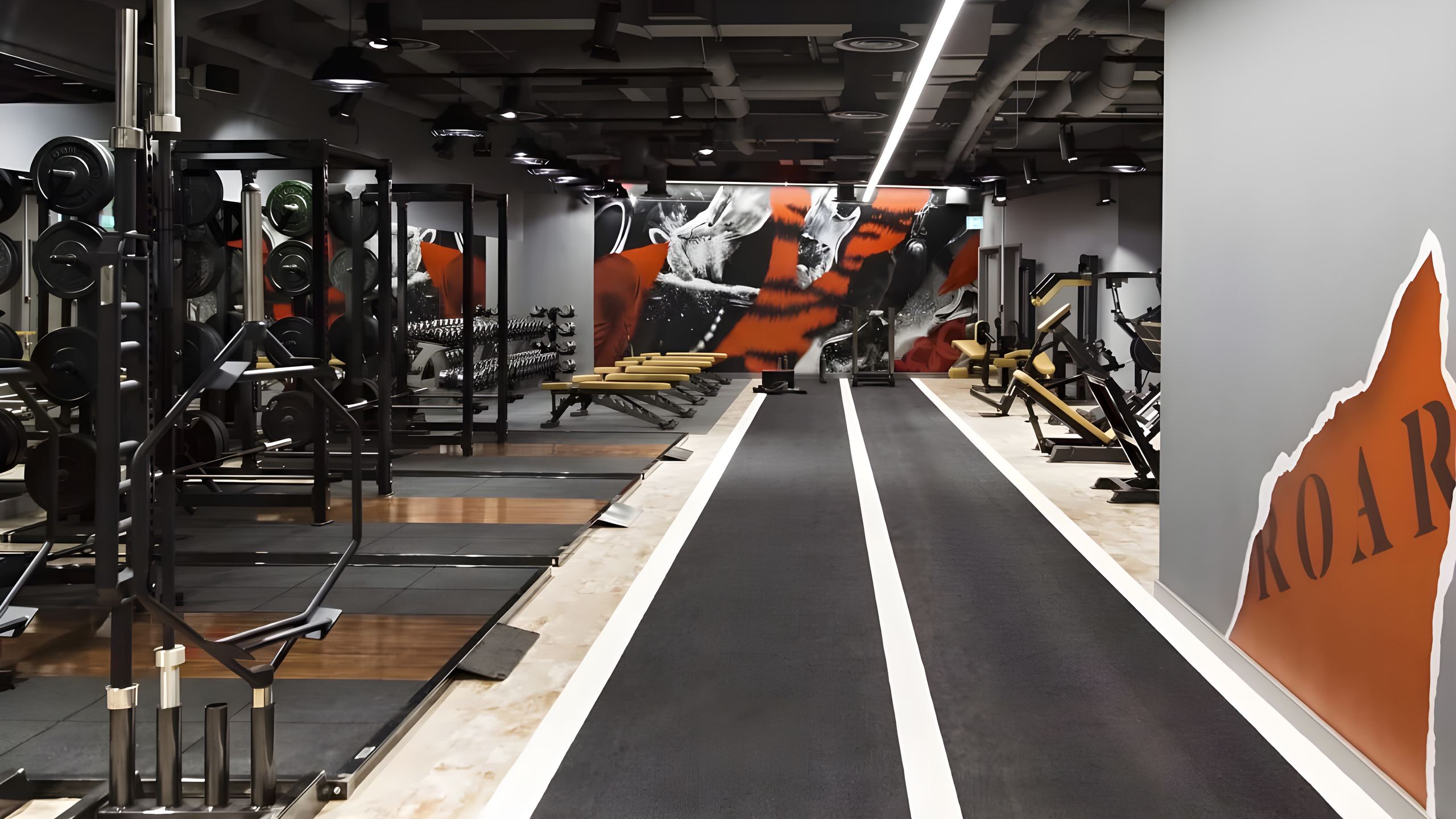 Personal Trainers in City of London at Roar Fitness