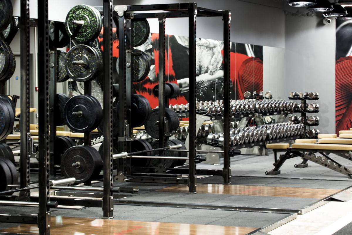 Squat racks, weight plates and dumbbells on the gym floor at Roar Fitness City of London